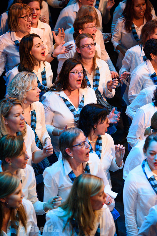 KORENDAGEN IN PARADISO